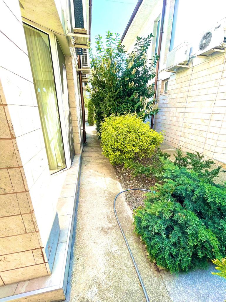 WhatsApp Image 2023-02-23 at 10.26.51